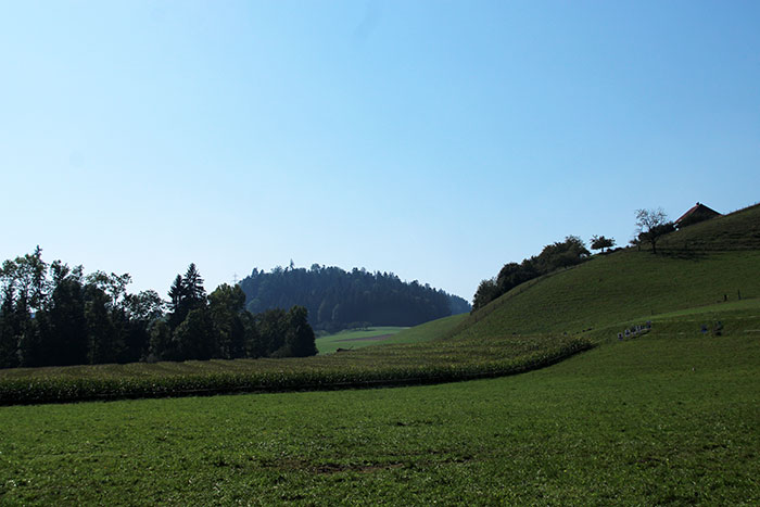 Landschaft mit Wald, Maisfeld, Hügeln, grünen Wiesen, blauem Himmel