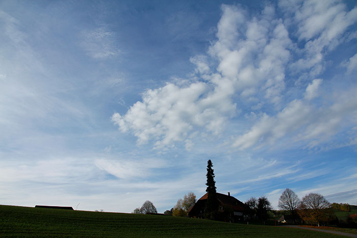 Landschaft mit Wolken am blauen Himmel, Bäumen und Bauernhaus