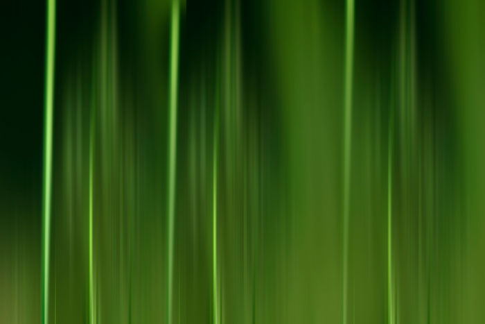 Hintergrundbild senkrechte Grasstruktur