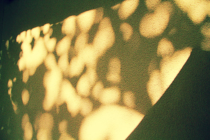 Naturfoto mit braun-gelber Lichtspiegelung an Hausmauer
